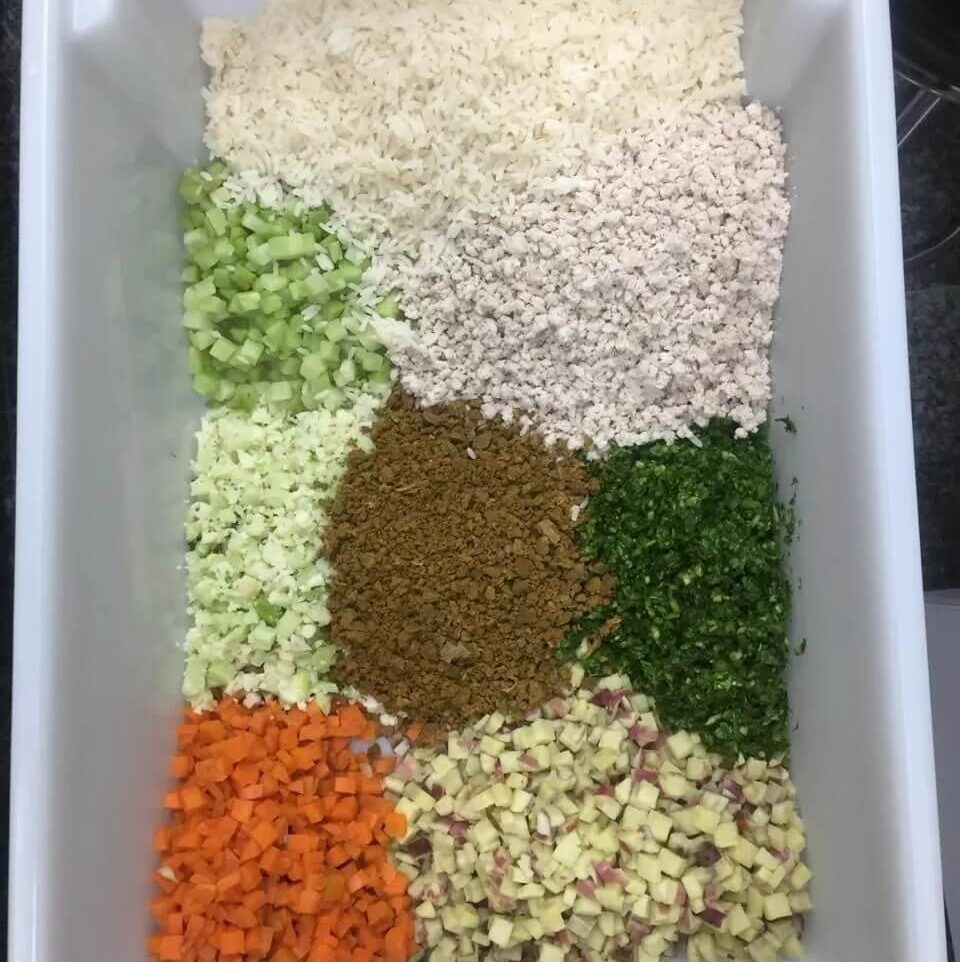 Dieta prescrita 2 Anpets 1920w