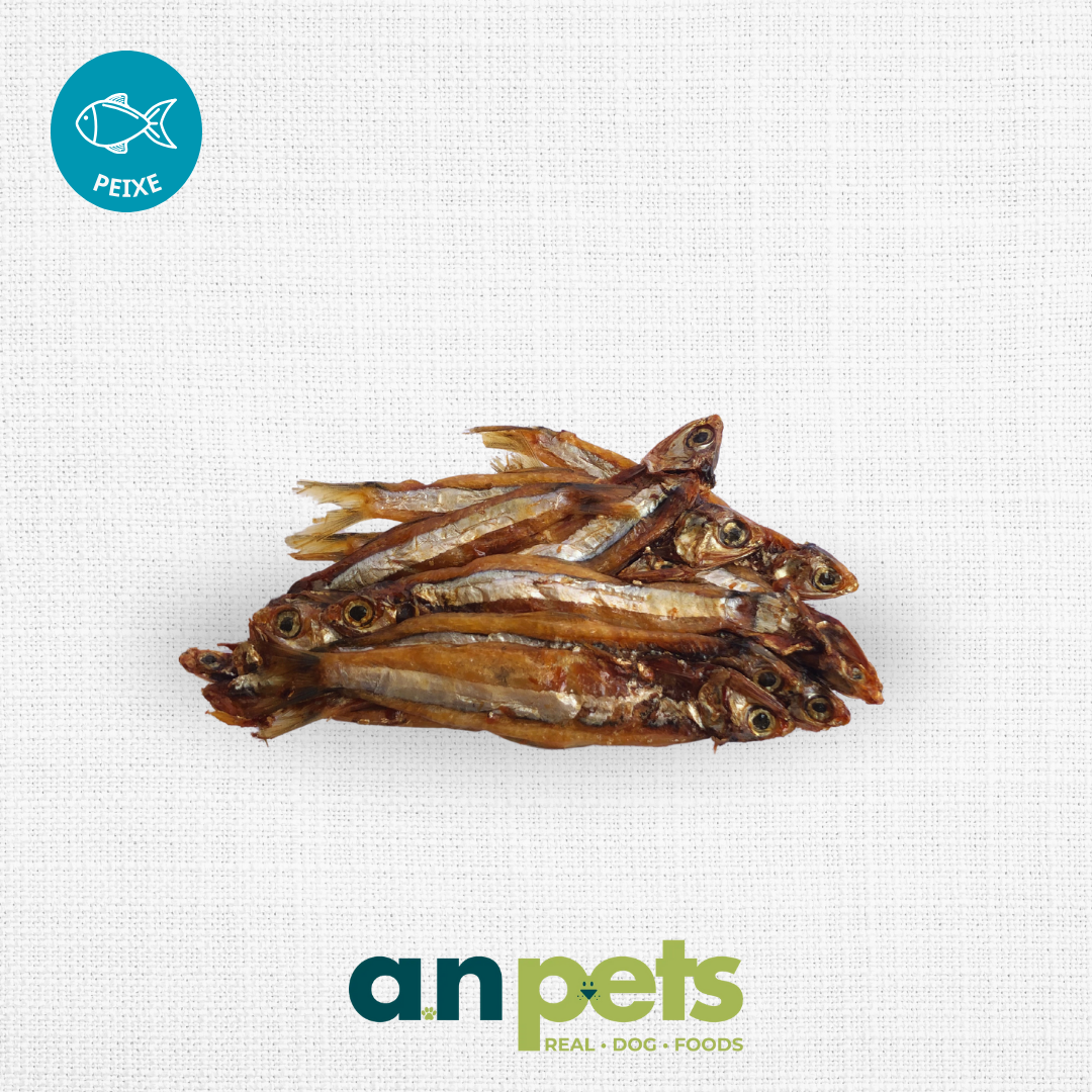 SnackPet+de+manjubinha+(2) 1920w