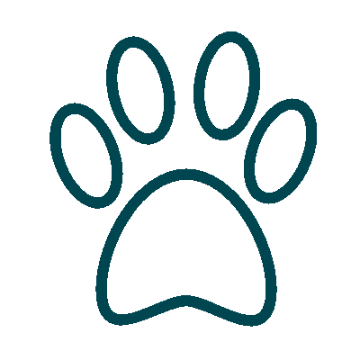 wired outline 448 paws animal